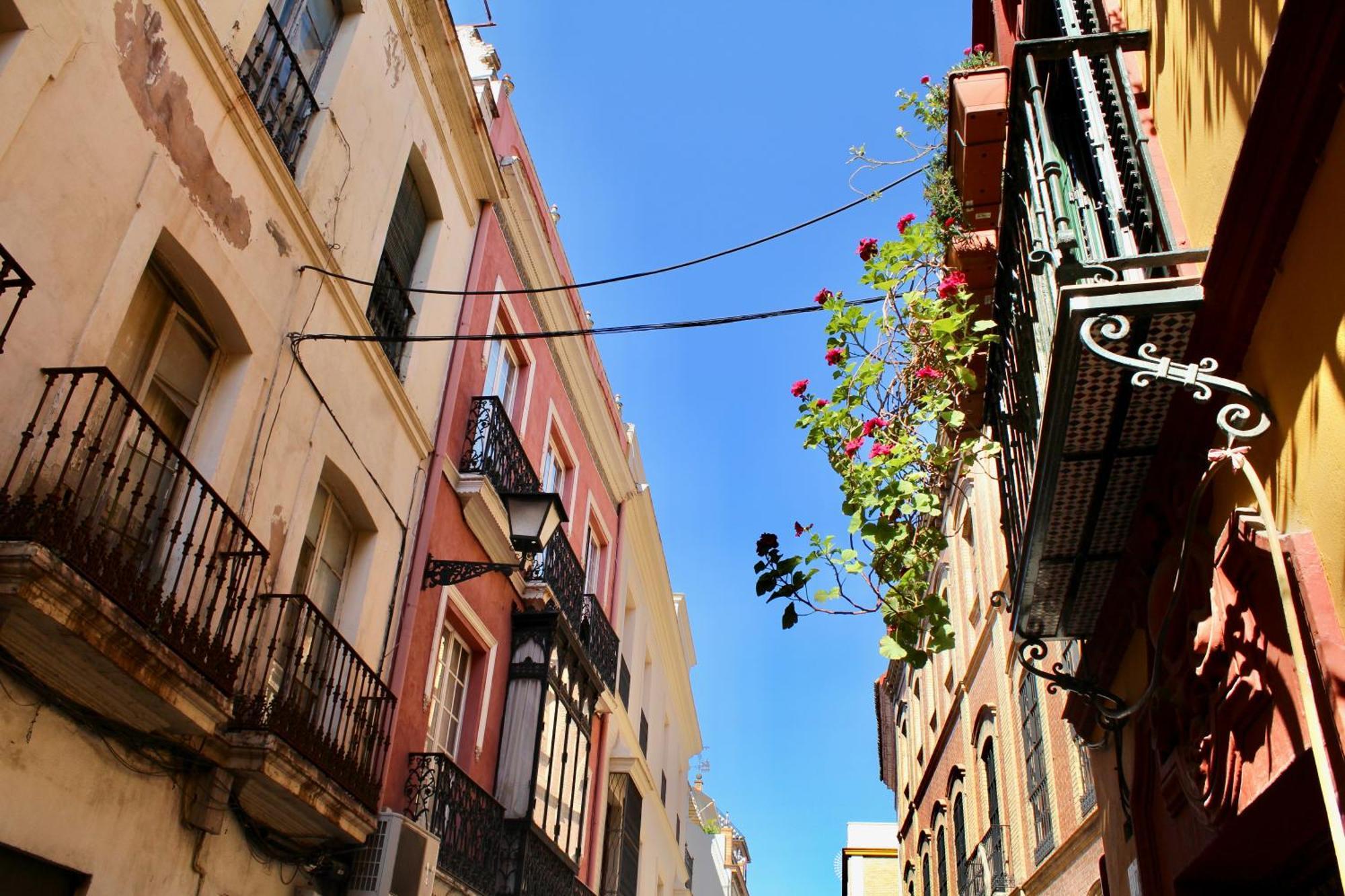 Appartamento Wish Plaza Nueva