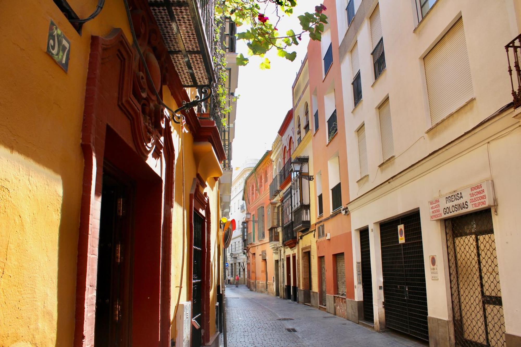 Wish Plaza Nueva * Siviglia
